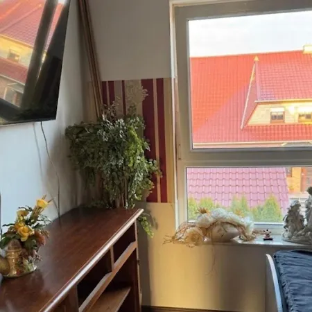 Wellness -Residenz Ehrhardt Urlaub Mit Pool Und Garten Ferienwohnung Im Herzen Von Halberstadt
